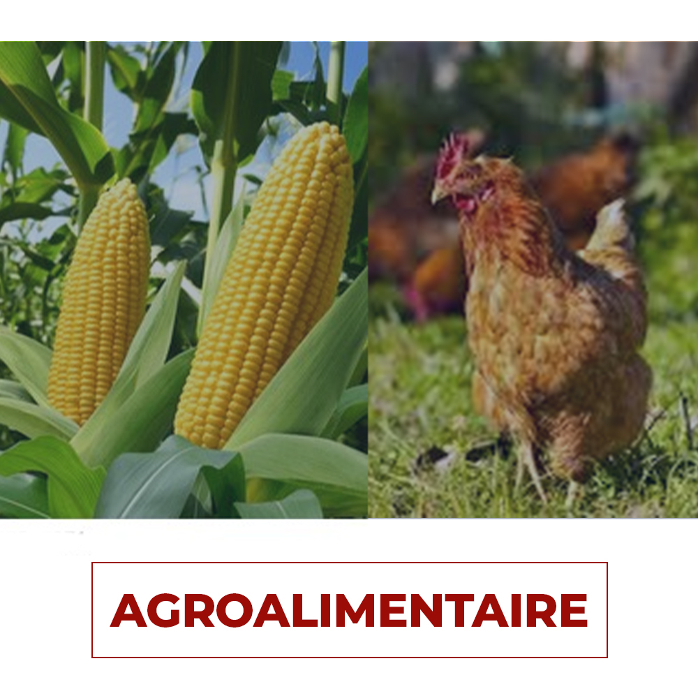 AJCD Agroalimentaire