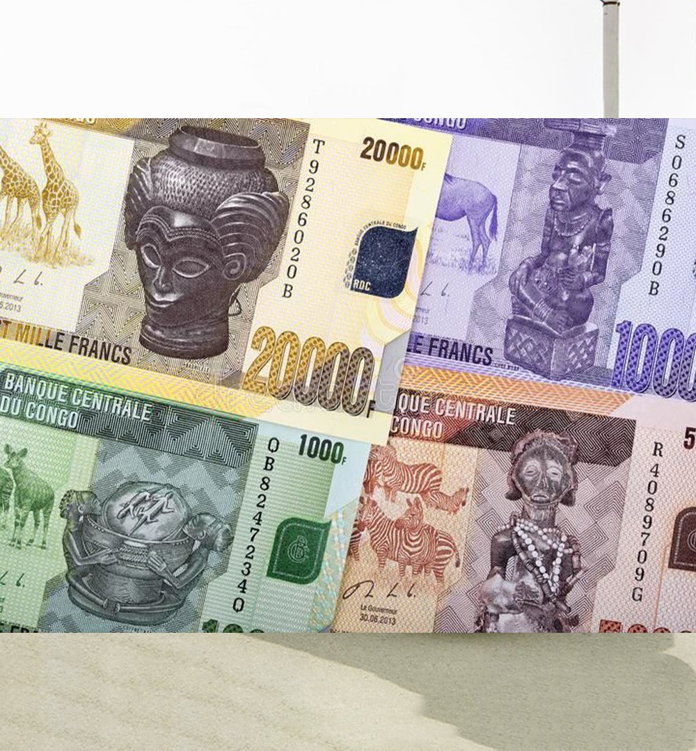 Agroalimentaire Investir en RDC ou en Afrique